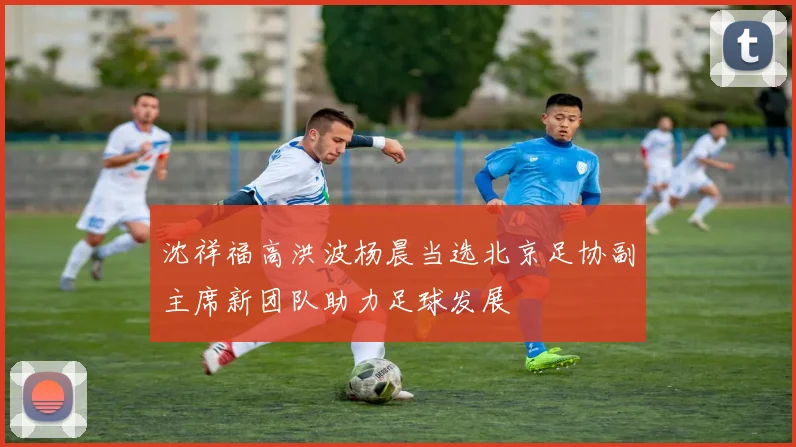 沈祥福高洪波杨晨当选北京足协副主席新团队助力足球发展