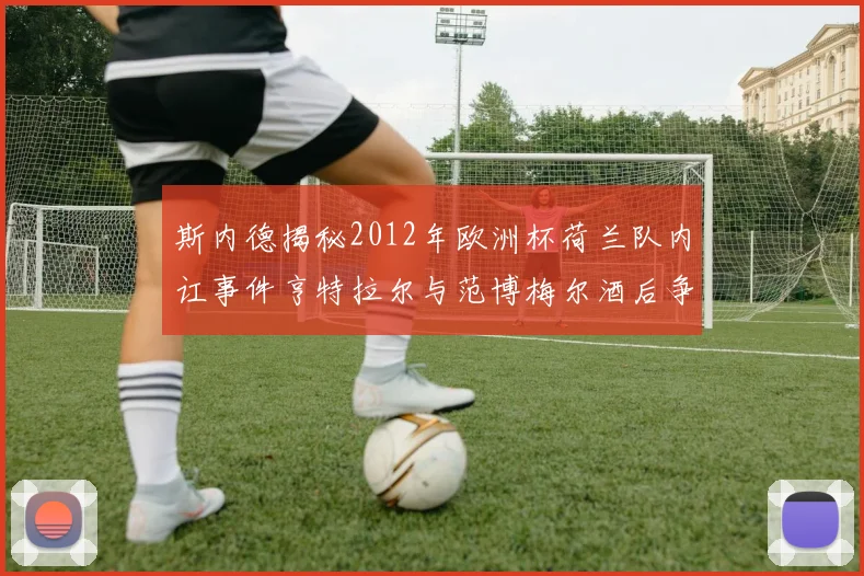 斯内德揭秘2012年欧洲杯荷兰队内讧事件亨特拉尔与范博梅尔酒后争执内幕