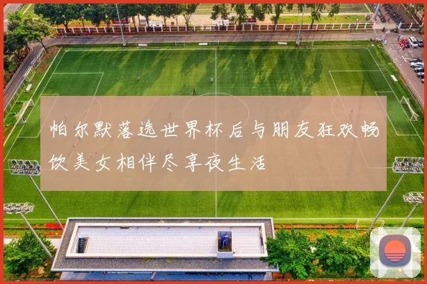 帕尔默落选世界杯后与朋友狂欢畅饮美女相伴尽享夜生活