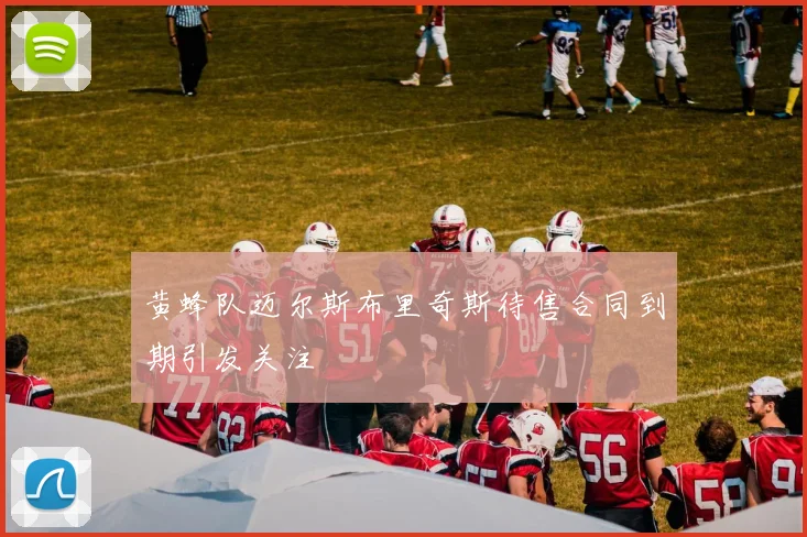 黄蜂队迈尔斯布里奇斯待售合同到期引发关注
